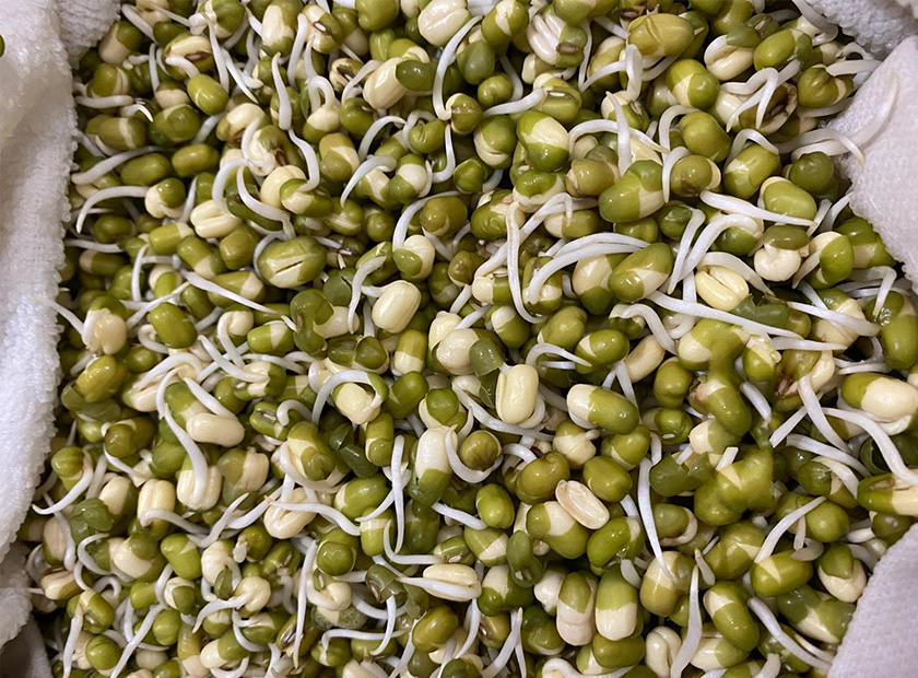 Mung bean sprout peel
