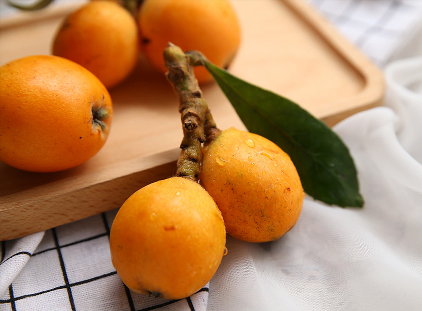 Loquat