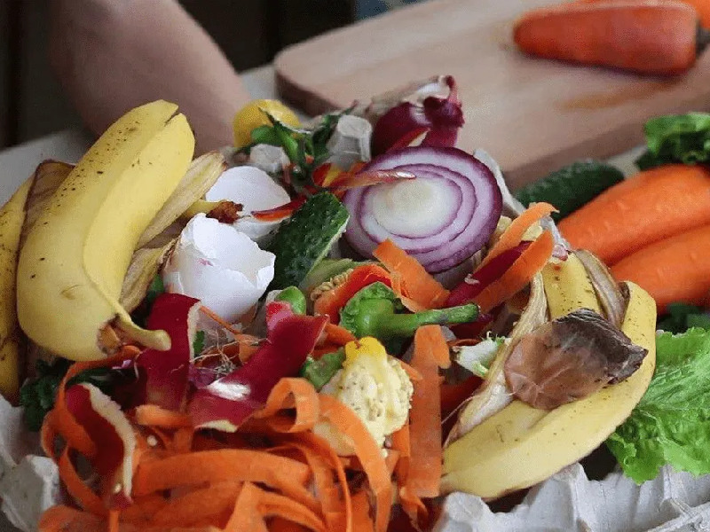 Kitchen Waste